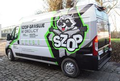 Wrocław. "Szopy" grasują w okolicy. Nowy sposób odbierania odpadów