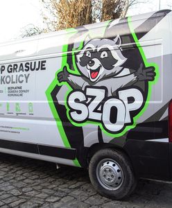 Wrocław. "Szopy" grasują w okolicy. Nowy sposób odbierania odpadów