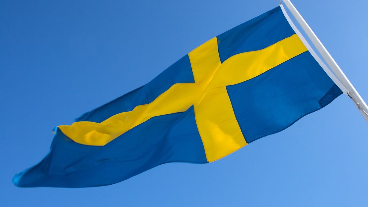 ©Pawel Syrjustel: +48 603 386 160kontakt@syrjus.plwww.syrjus.pl