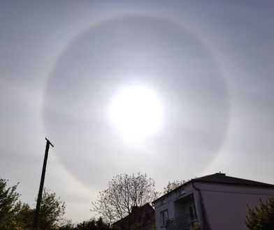 Czym jest Efekt Halo? Niezwykłe zjawisko nad Hrubieszowem