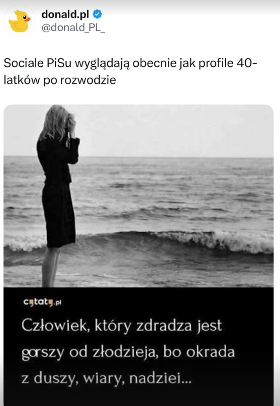 Rozpad PiS - memy