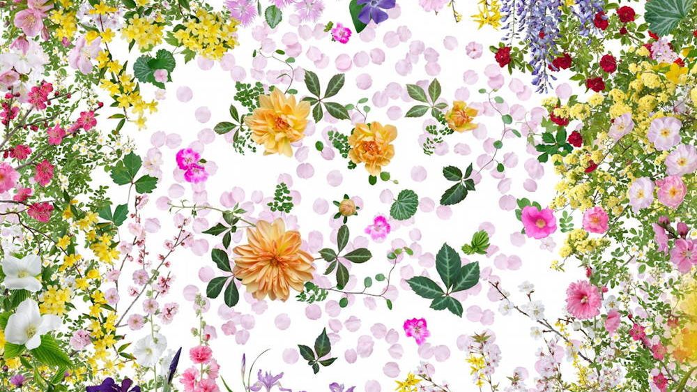 Nikon Photo Contest 2014-2015 - Polacy wśród wyróżnionych 1