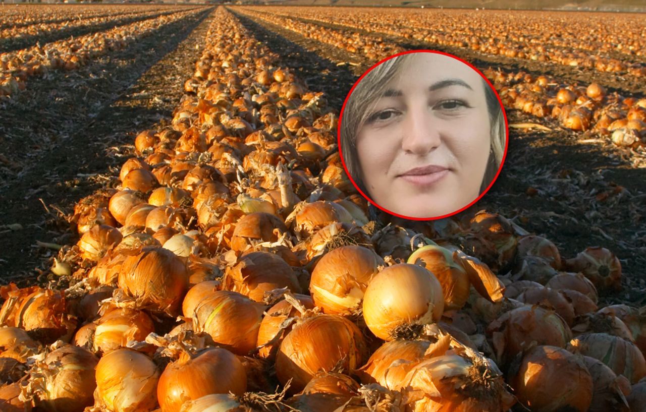 Oddaje tony cebuli. Rolniczka tłumaczy decyzję