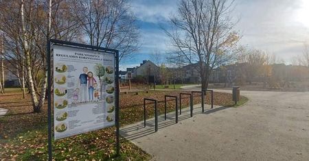 Wrocław. Wiosenne nasadzenia w mieście. Przybędzie kilkaset dziew i kilka tysięcy krzewów