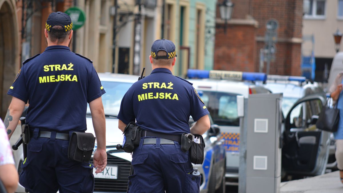 straż miejska/ zdjęcie ilustracyjne