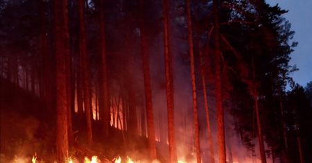 ONZ alarmuje. Chodzi o pożary na Syberii