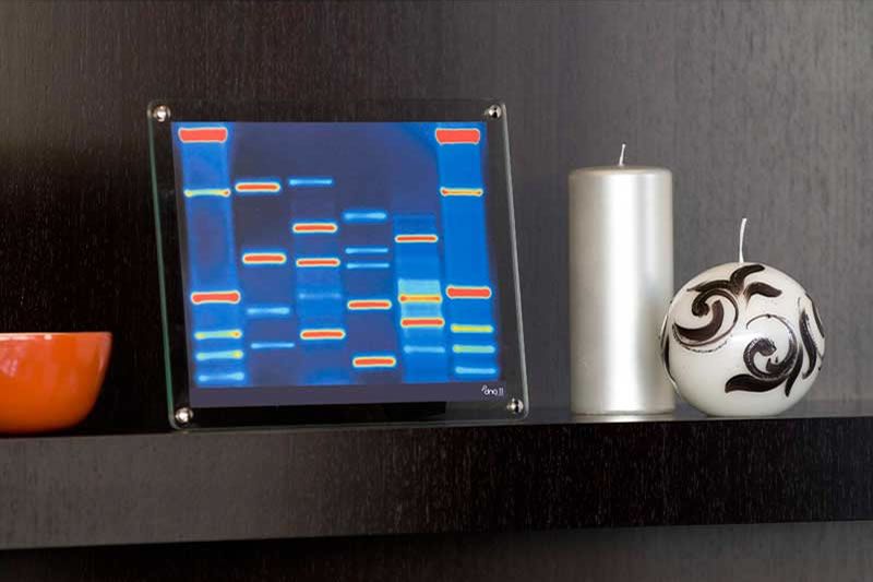 DNA Mini, portret bardzo osobisty 7