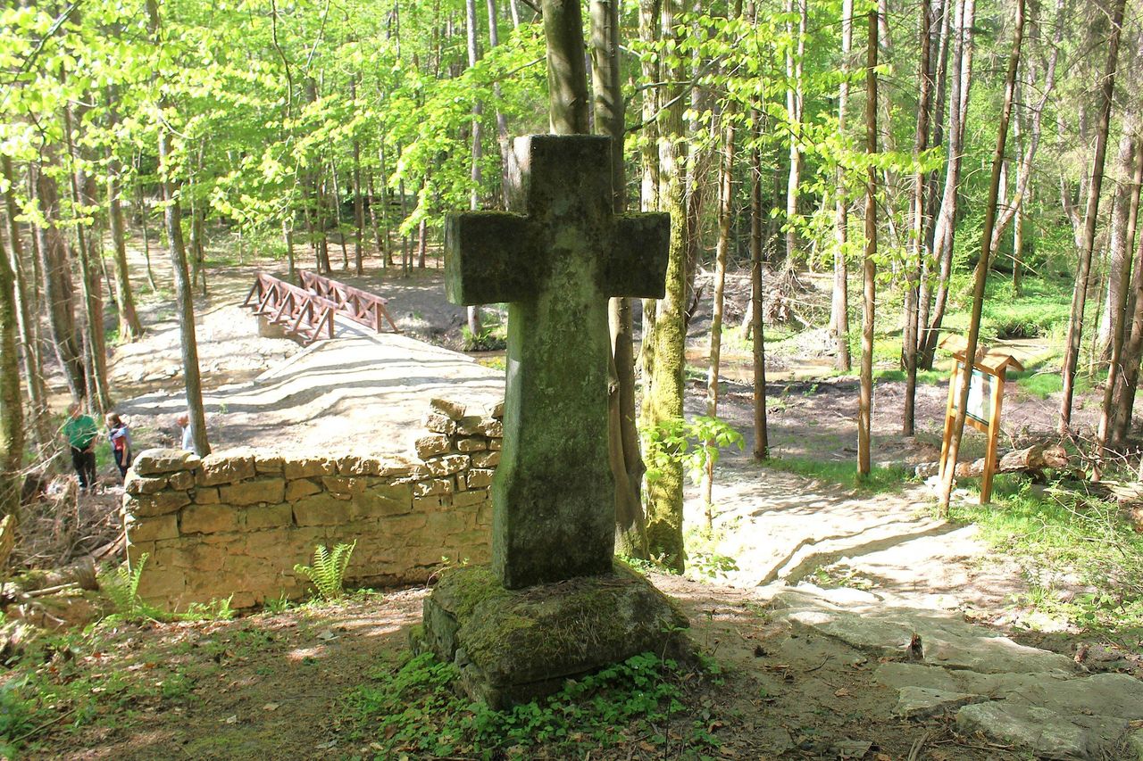 Nowy szlak na Roztoczu. Warto wspiąć się na górę Brusno. Zobaczymy krzyże bruśnieńskie, wspaniałe wąwozy i m.in. stare bunkry Linii Mołotowa