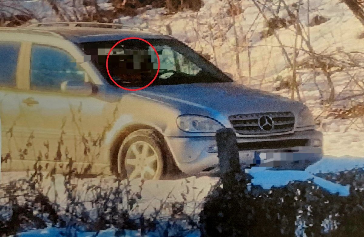 Polował na kaczki z samochodu. 48-latek trafi do więzienia?