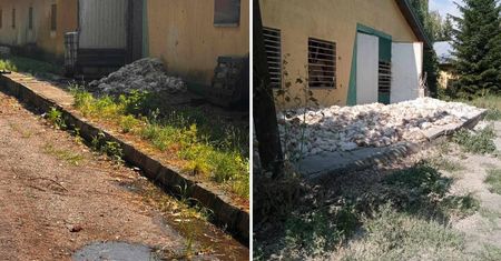 Fala upałów w powiecie kraśnickim. Kilkaset kurczaków padło na fermie w Popkowicach
