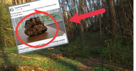 Myślał, że to czaszka zwierzęcia, prawda okazała się zupełnie inna