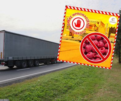 Gigantyczny transport malin z Ukrainy zatrzymany. Odrażające odkrycie