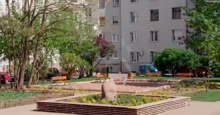 Wrocław. Grow Green. Kwiaty rosną na betonie