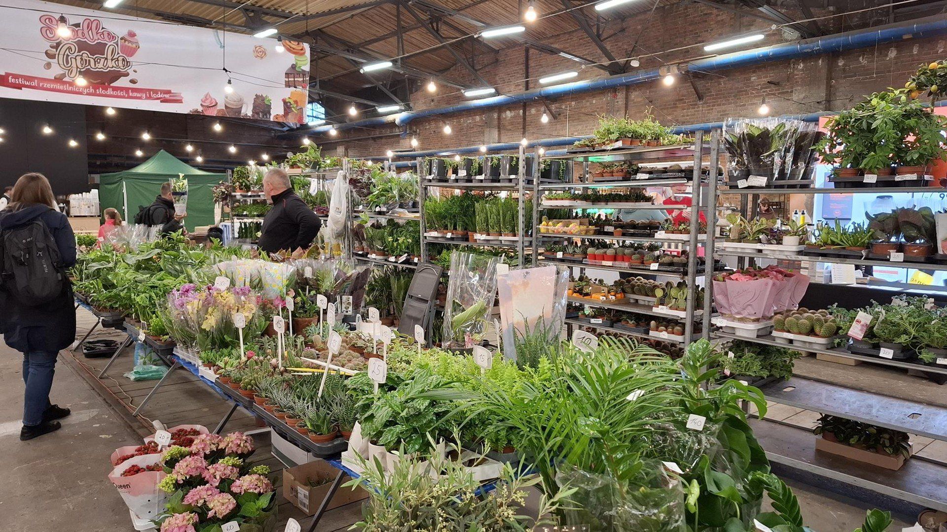 Wrocławskie targi „Kupuj Świadomie” już w ten weekend! Moda, rośliny, design, rzemiosło, jedzenie i koncerty – przyjdź i odkrywaj!