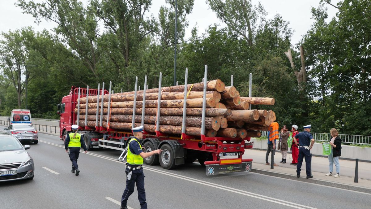 Akcja Greenpeace w Warszawie
Fot. Adam Burakowski/East News, Warszawa, 24.06.2024. Akcja Greenpeace w Warszawie, dotyczaca wycinki lasow. Aktywisci wyslali to Warszawy ciezarowke ze scietymi drzewami. Drewno ma byc zalacznikiem do petycji, w ktorej Greenpeace domaga si? od premiera Donalda Tuska spelnienia jego obietnicy i jak najszybszego, trwalego wylaczenia z wycinek 20 procent polskich lasow.
Adam Burakowski