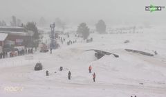 W kwietniu kanał nSport+ zniknie. „Ujednolicanie nazewnictwa”