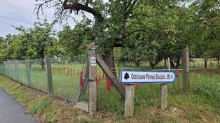 W tych miejscach w Kujawsko-Pomorskiem zaatakowały wilki. Mamy dokładne lokalizacje