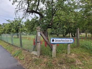 W tych miejscach w Kujawsko-Pomorskiem zaatakowały wilki. Mamy dokładne lokalizacje