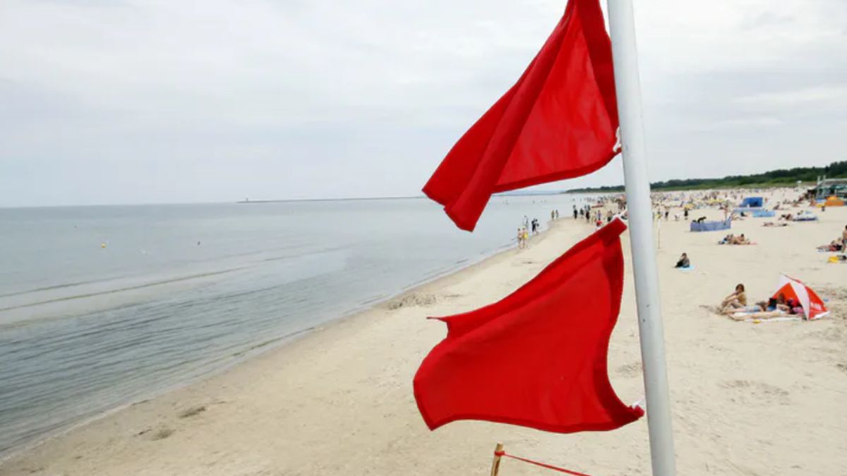  Czerwone flagi na plażach. Główny Inspektorat Sanitarny ostrzega przed sinicami