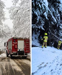 Niebezpieczne skutki śnieżycy. Setki interwencji strażaków
