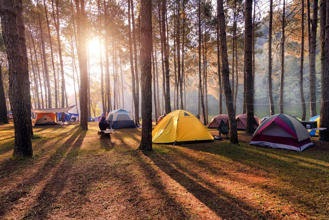 Holenderski sąd ogłosił upadłość firmy Vacansoleil