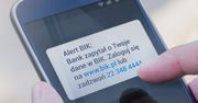 Darmowe alerty od BIK. Usługa udaremni oszustom wyłudzenie kredytu na nasze dane