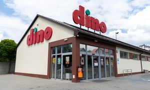 Kierowniczka Dino zwolniona po interwencji. Jest reakcja PIP