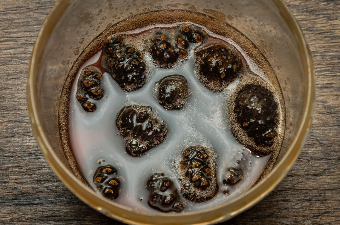 Syrop sosnowy pomaga w walce z kaszlem