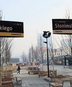 Katowice. Mieszkańcy pomogą wybrać tablice w mieście. Trzeba się pospieszyć