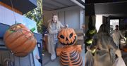 Andziaks pochwaliła się GIGANTYCZNYMI dekoracjami na Halloween. Nie wszystkim przypadły do gustu: "KONSUMPCJONIZM FINAL BOSS"
