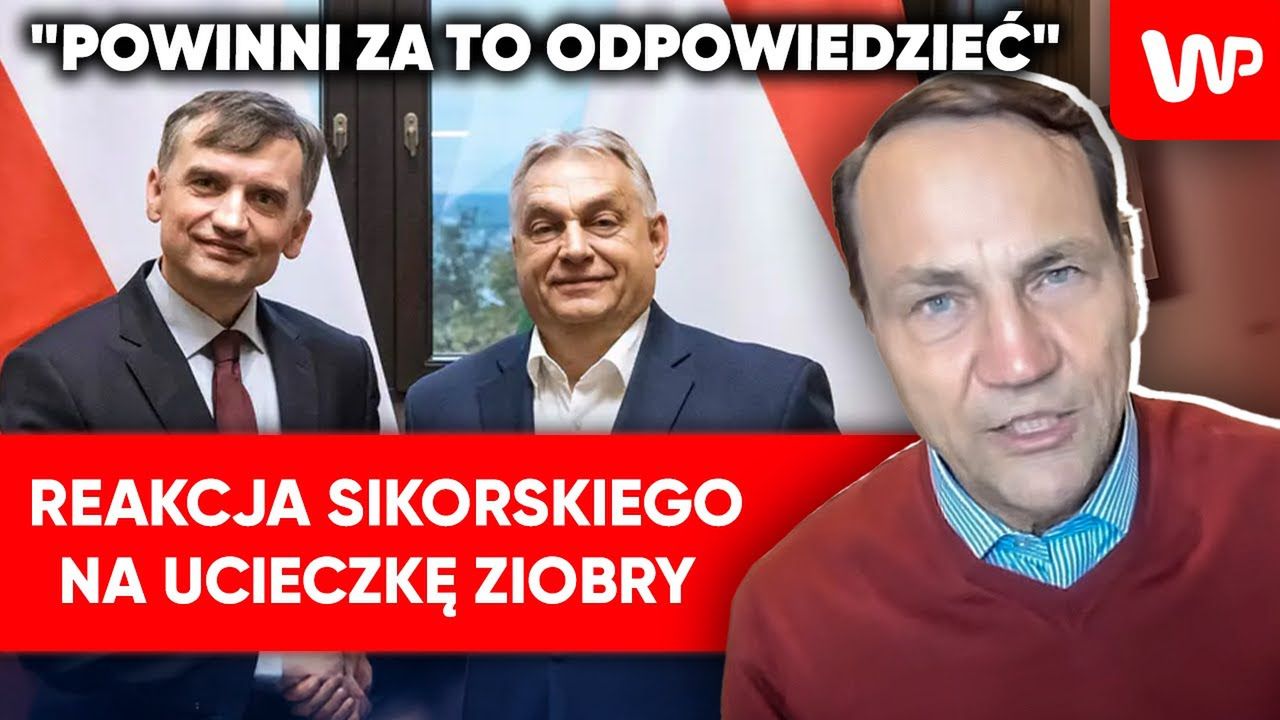 Ziobro spotkał się z Orbanem. Sikorski zdradził plan działania rządu