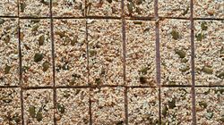 Te produkty mogą zastąpić tabletkę wapnia. Skorzysta serce, stawy i kości