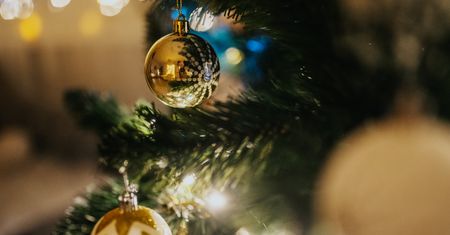 Każdy może mieć coś takiego w domu. Ich wartość potrafi szokować