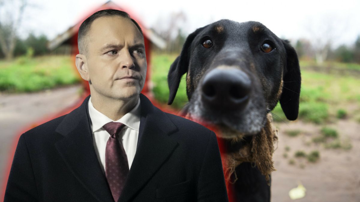 Weto prezydenta Karola Nawrockiego ws. ustawy łańcuchowej