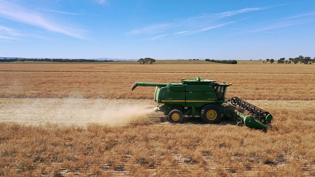 Canola Harvesting In Australia
A harvester moves through a canola field in Balliang, Victoria, Australia, on Wednesday, Dec. 17, 2025. Australia is the world's second-biggest exporter of canola. Photographer: Carla Gottgens/Bloomberg via Getty Images
Bloomberg
commodity, commodities, plants, industries, drone photography, arable farming, farms, australian, business news, aerial photography, crops