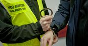 Polak zatrzymany na lotnisku. Dopuścił się przestępstw seksualnych