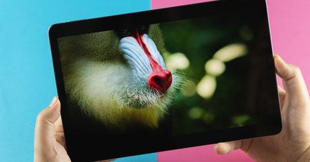 W Xiaomi mieli nosa. Te 11 cali robi dobrą robotę