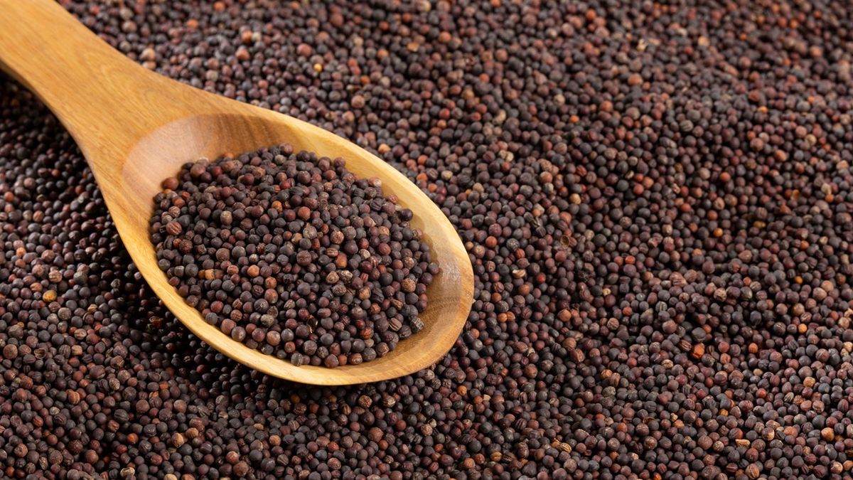 Gorczyca czarna – jak wpływa na smak mięsa i sosów?