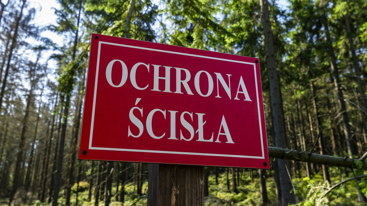 Reporter archiwum 2023 09
13.08.2023 N/z tablica Ochrona scislaFot. Stanislaw Bielski/REPORTER
Stanislaw Bielski/REPORTER