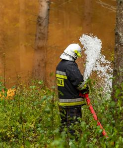 Strażacy alarmują. Przerażające dane po weekendzie