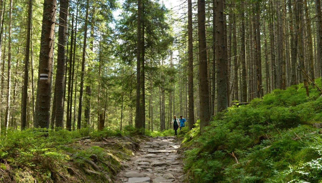 Tatrzański Park Narodowy otwarty. Na niektórych szlakach limity wejść