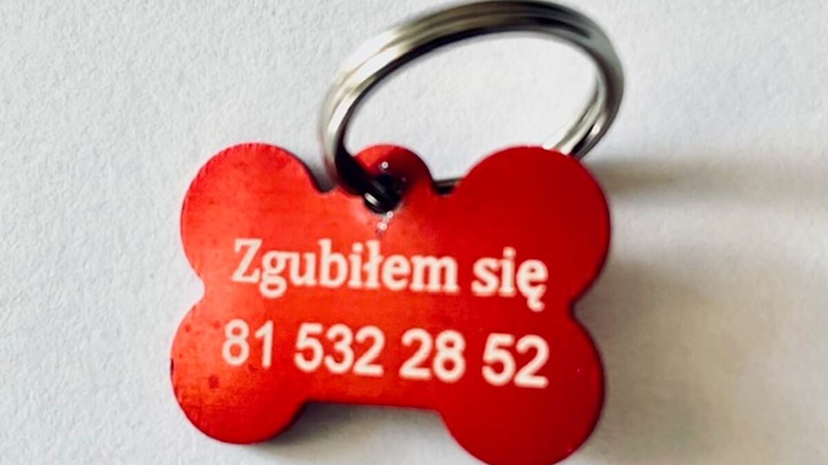 Adresatka zgubiłem się