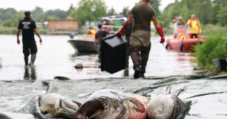 Rząd szykuje specjalne świadczenie dla firm znad Odry. Kilka tysięcy zł na pracownika
