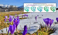 Mrozy, a potem nagły skok temperatury. Zobacz prognozę na 5 dni