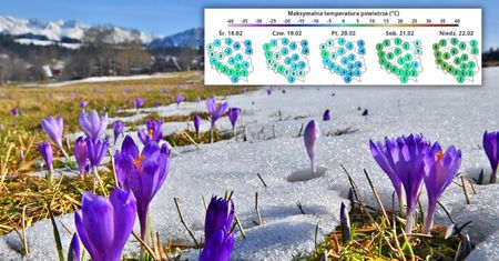 Mrozy, a potem nagły skok temperatury. Zobacz prognozę na 5 dni