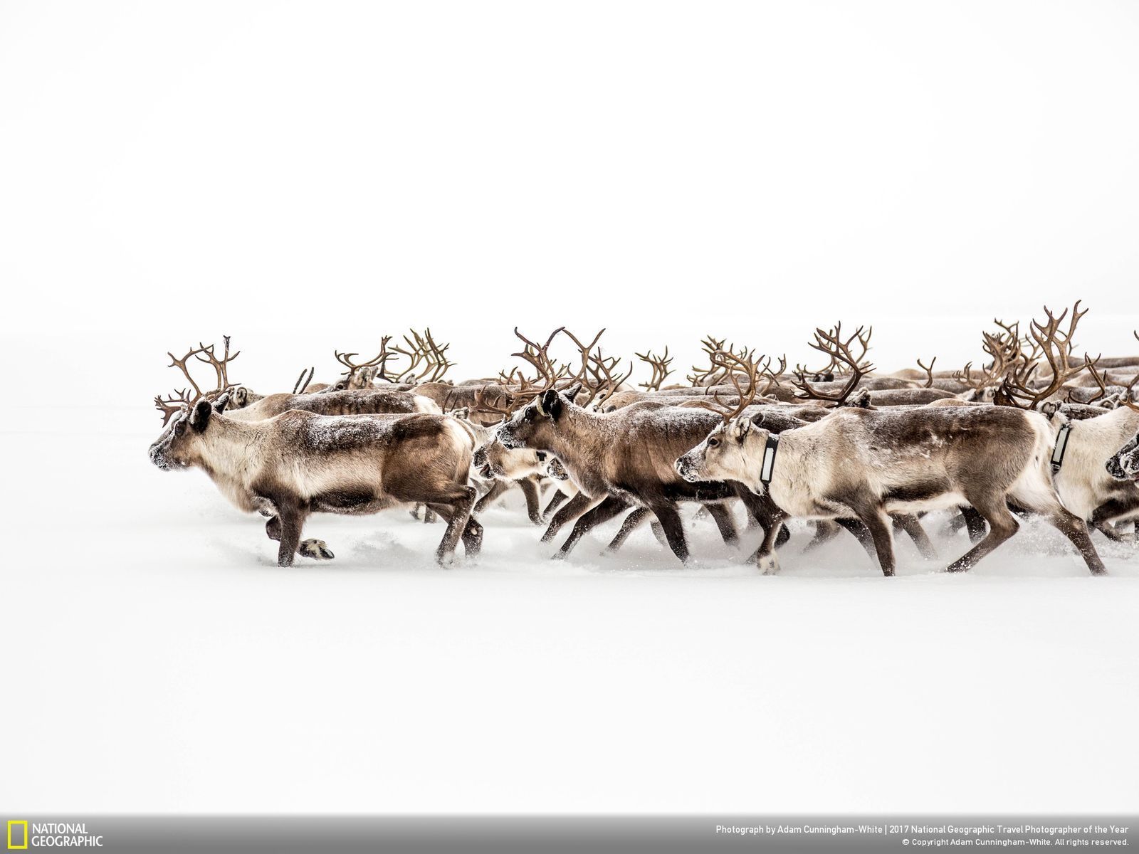 Nabór do konkursu National Geographic Travel Photographer od the Year 2017 rozpoczęty. Oto najlepsze prace z dotychczas zgłoszonych 12