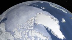 Biegun północny bez lodu. Tragiczna analiza na 2050 r.