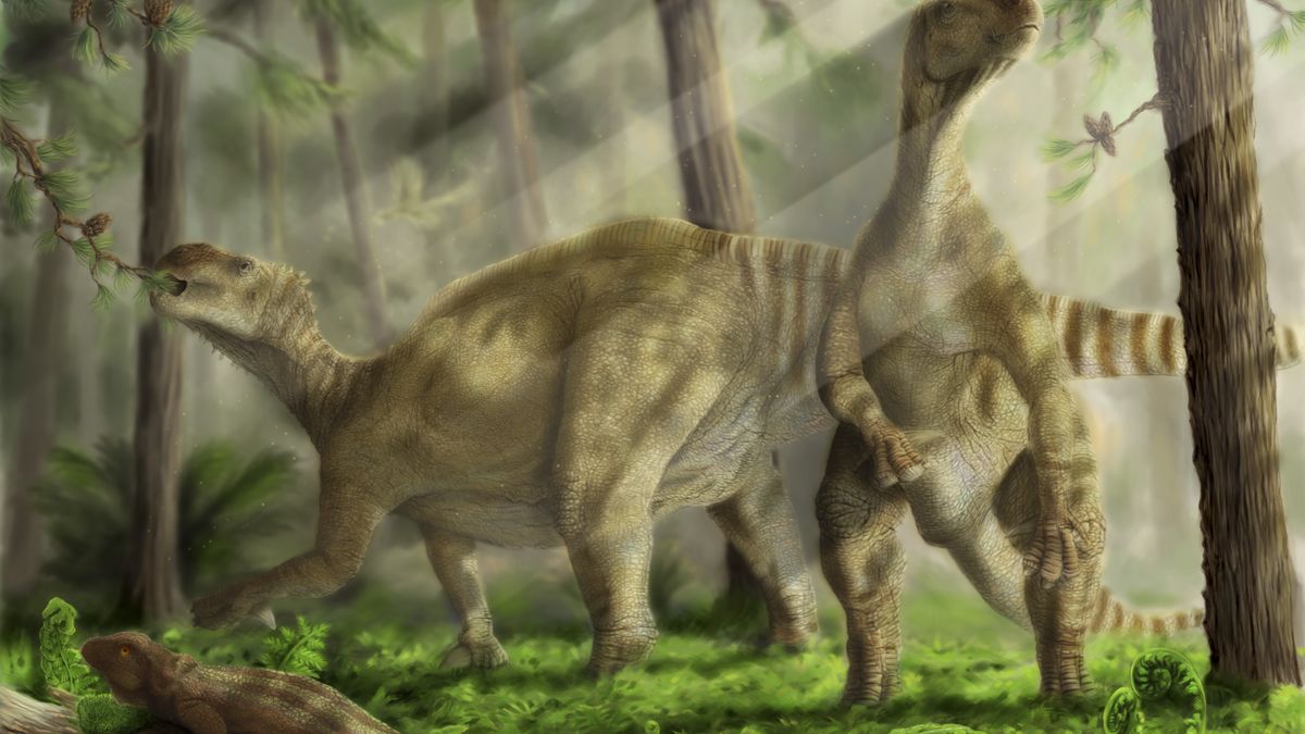 Iguanodony 