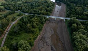 Dbać o każdy spłachetek zieleni