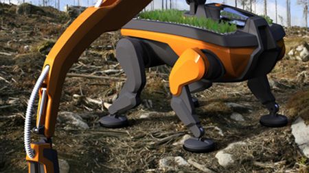 Roboty do sadzenia lasu - konkurencja dla tych, co trzebią 1